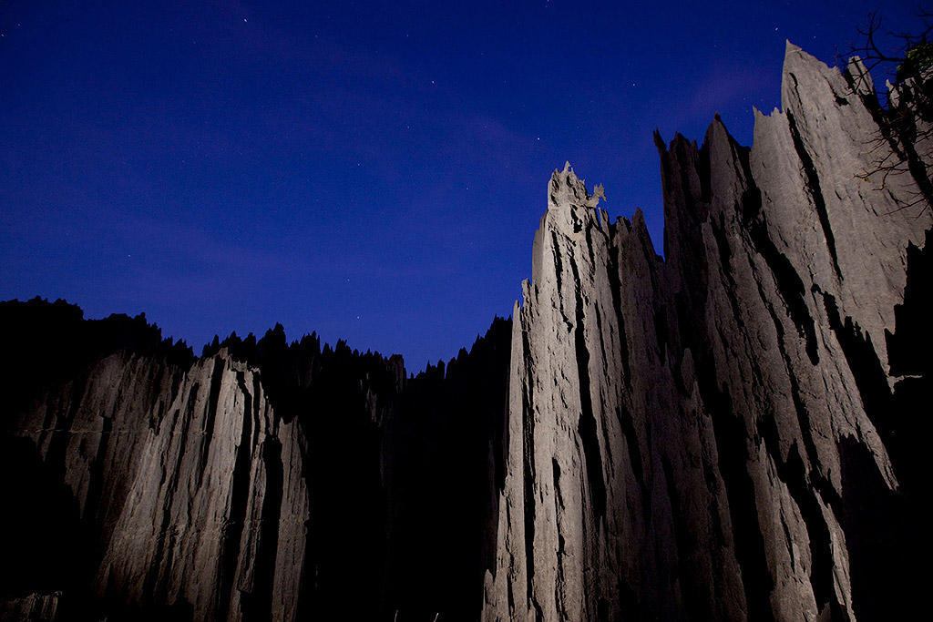 Фотография: Каменный лес на Мадагаскаре №10 - BigPicture.ru