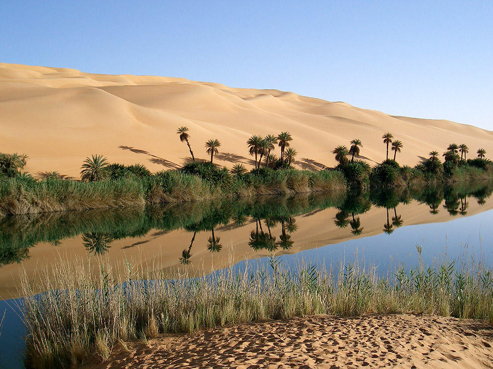 Фотография: Сказочный оазис в африканской пустыне: озера Убари №11 - BigPicture.ru