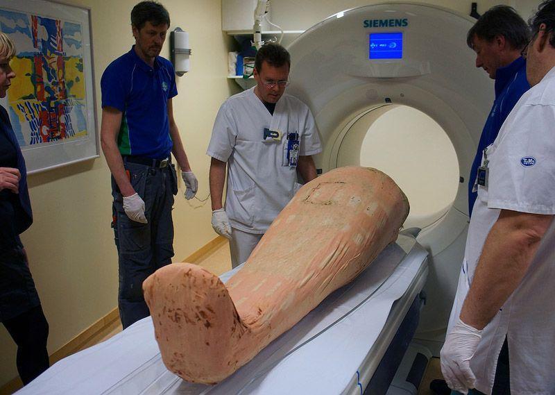 Фотография: Шведы возвращают мумий к жизни с помощью цифровых технологий №2 - BigPicture.ru