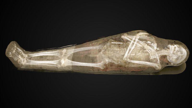 Фотография: Шведы возвращают мумий к жизни с помощью цифровых технологий №4 - BigPicture.ru