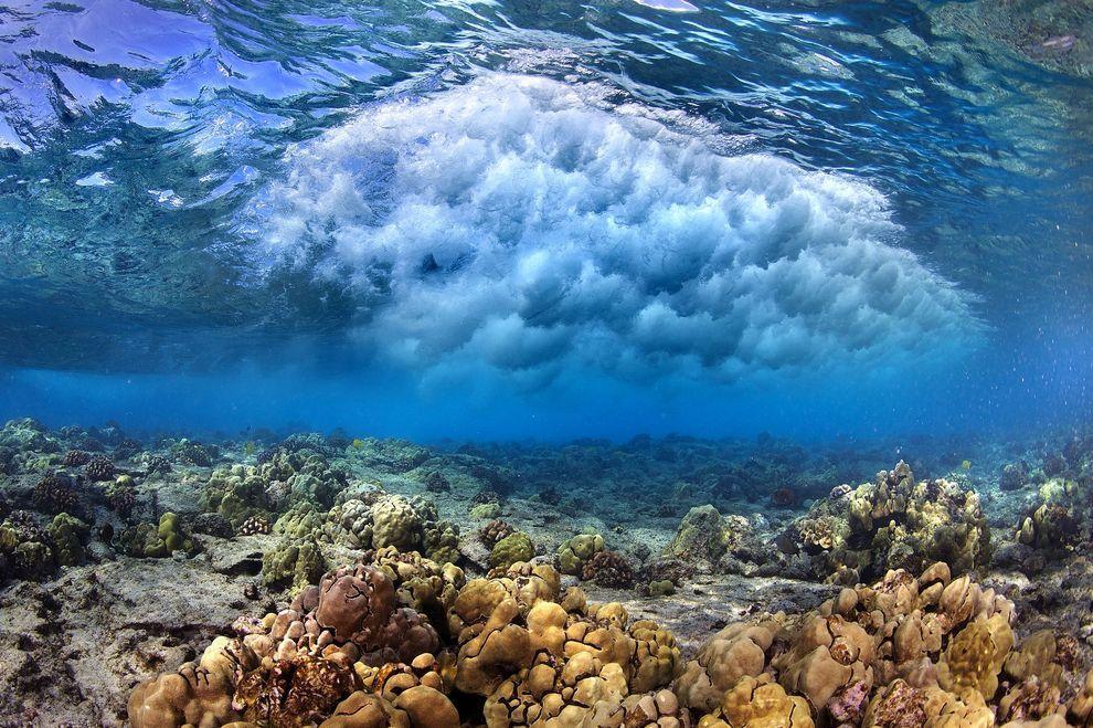 Фотография: Невероятные фотографии волн у берегов Гавайских островов №4 - BigPicture.ru