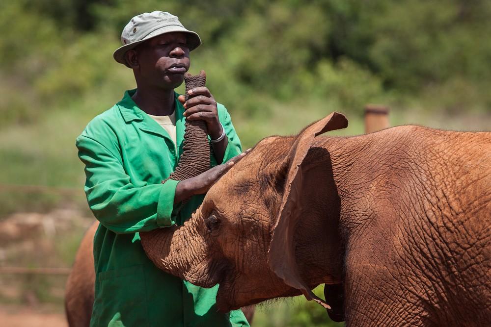 Фотография: Слоновий приют в Кении №30 - BigPicture.ru