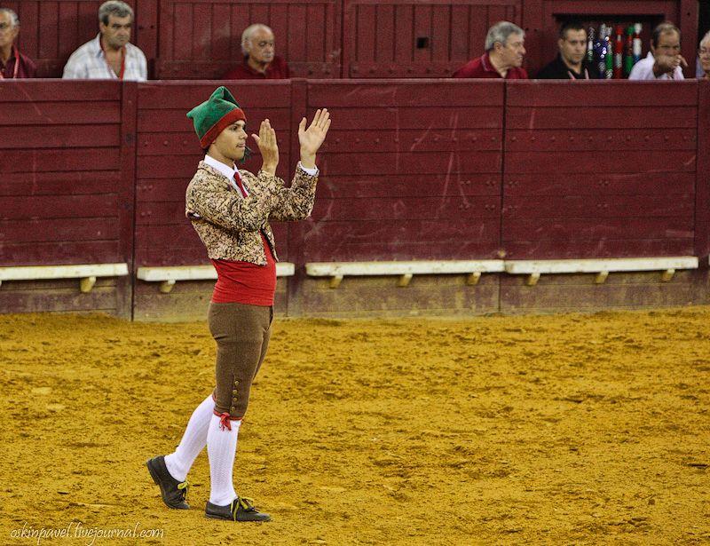 Фотография: 14 любопытных фактов о португальской корриде №6 - BigPicture.ru