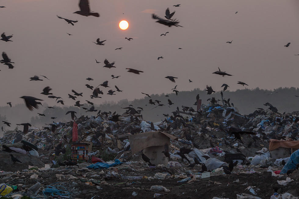 Фотография: Сваливаем: Репортаж с крупнейшей в Новосибирске свалки мусора №4 - BigPicture.ru