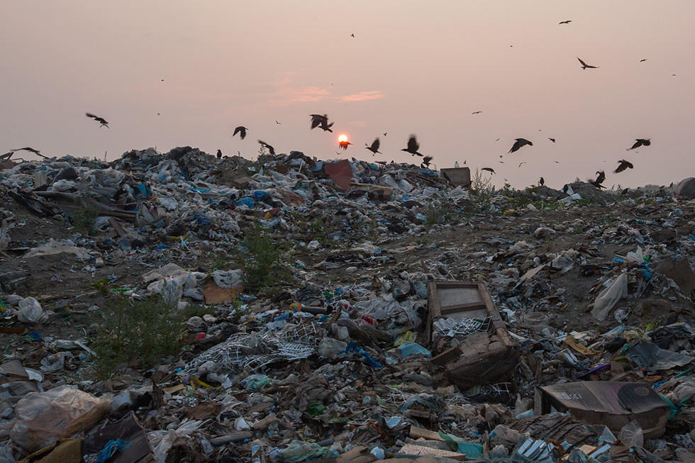 Фотография: Сваливаем: Репортаж с крупнейшей в Новосибирске свалки мусора №12 - BigPicture.ru