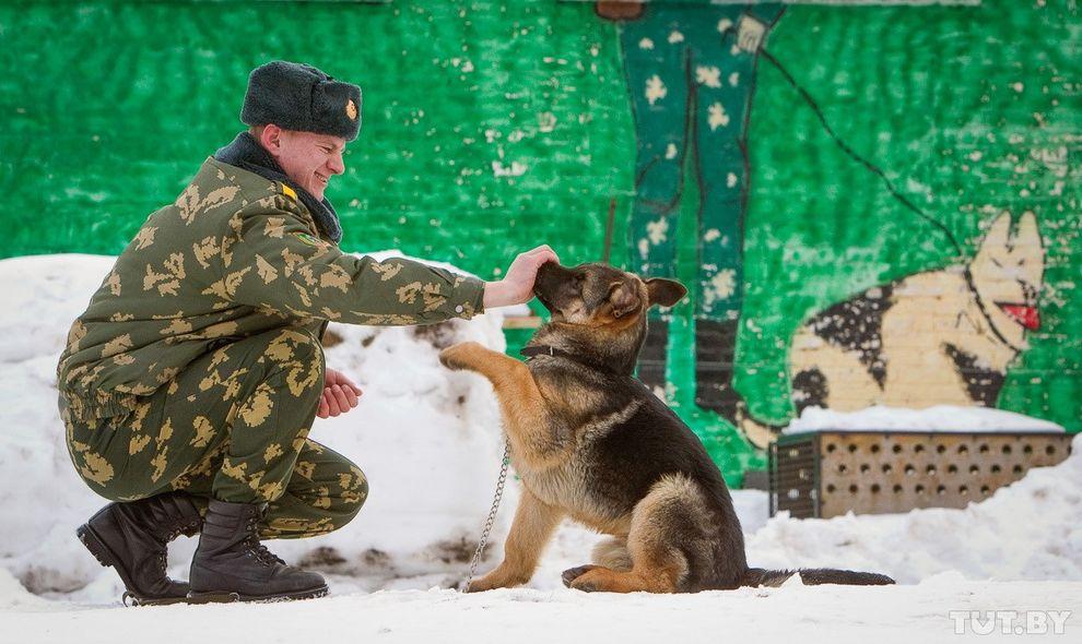 Фотография: Как щенки становятся защитниками границы №9 - BigPicture.ru