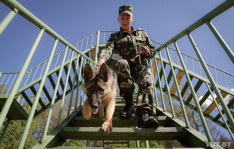 Фотография: Как щенки становятся защитниками границы №13 - BigPicture.ru