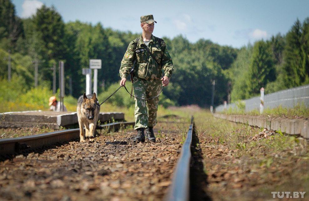 Фотография: Как щенки становятся защитниками границы №16 - BigPicture.ru