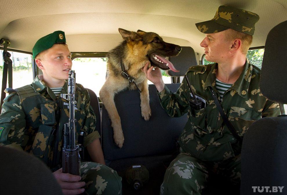 Фотография: Как щенки становятся защитниками границы №17 - BigPicture.ru