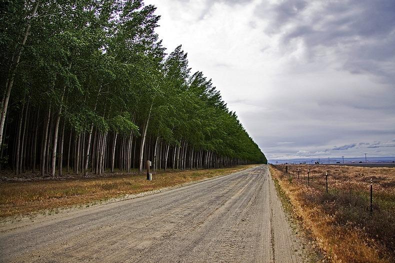 Фотография: Как выглядит живописная лесоферма в Орегоне №6 - BigPicture.ru