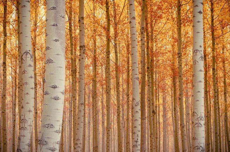 Фотография: Как выглядит живописная лесоферма в Орегоне №12 - BigPicture.ru