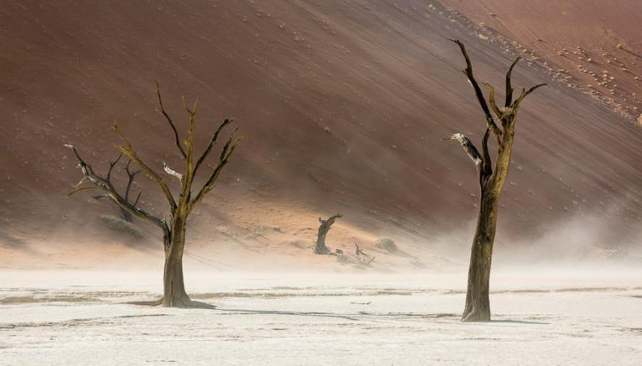 Фотография: Африка. Намибия. Пустыня Намиб - Соссусфлей №4 - BigPicture.ru