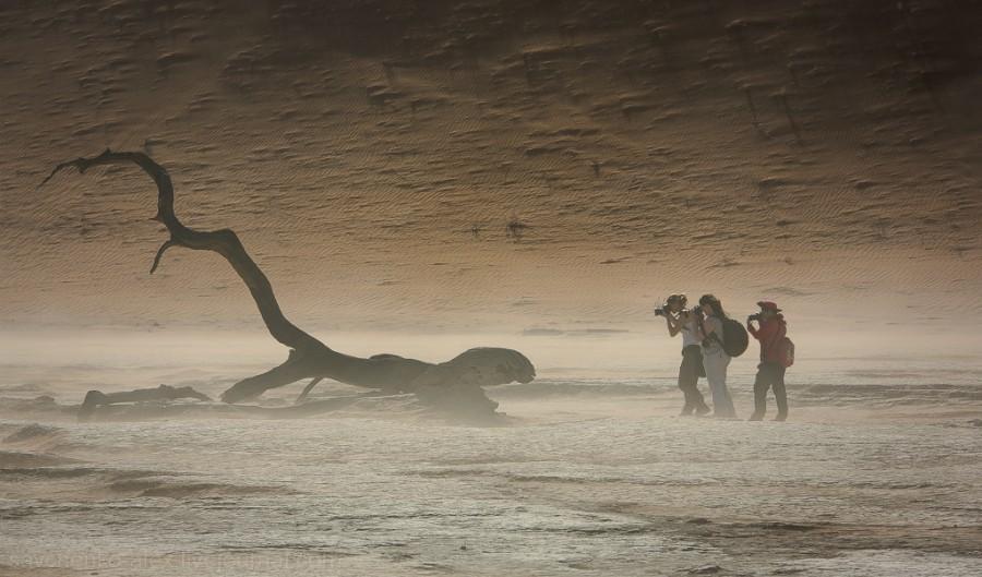 Фотография: Африка. Намибия. Пустыня Намиб - Соссусфлей №5 - BigPicture.ru