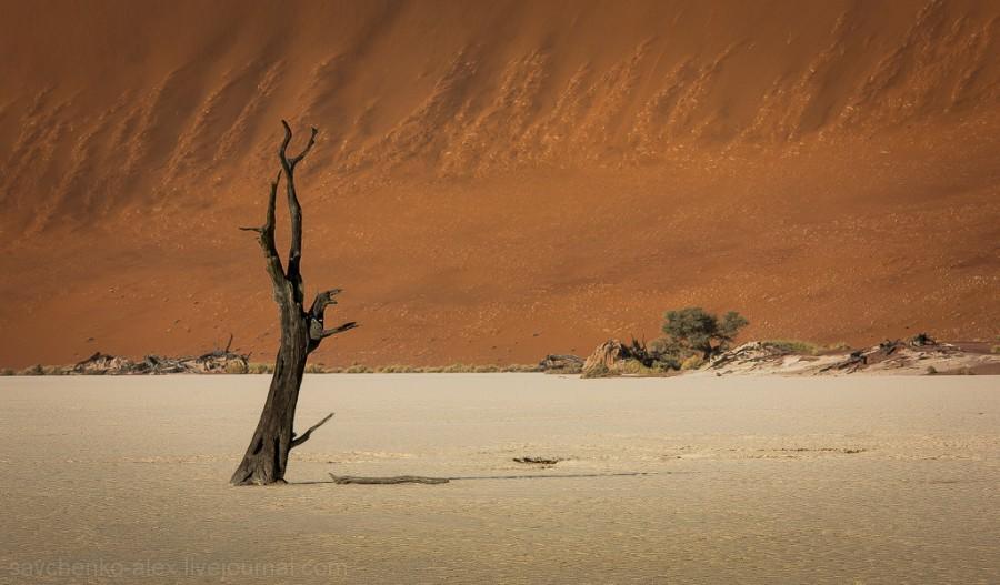 Фотография: Африка. Намибия. Пустыня Намиб - Соссусфлей №6 - BigPicture.ru