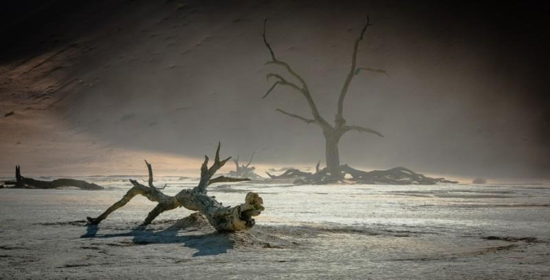 Фотография: Африка. Намибия. Пустыня Намиб - Соссусфлей №1 - BigPicture.ru