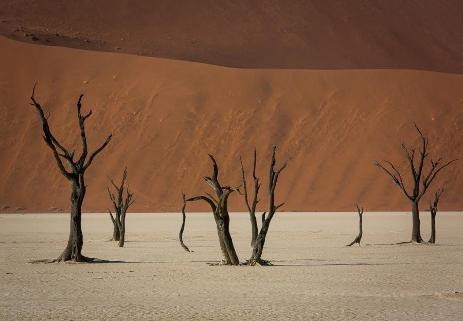 Фотография: Африка. Намибия. Пустыня Намиб - Соссусфлей №10 - BigPicture.ru