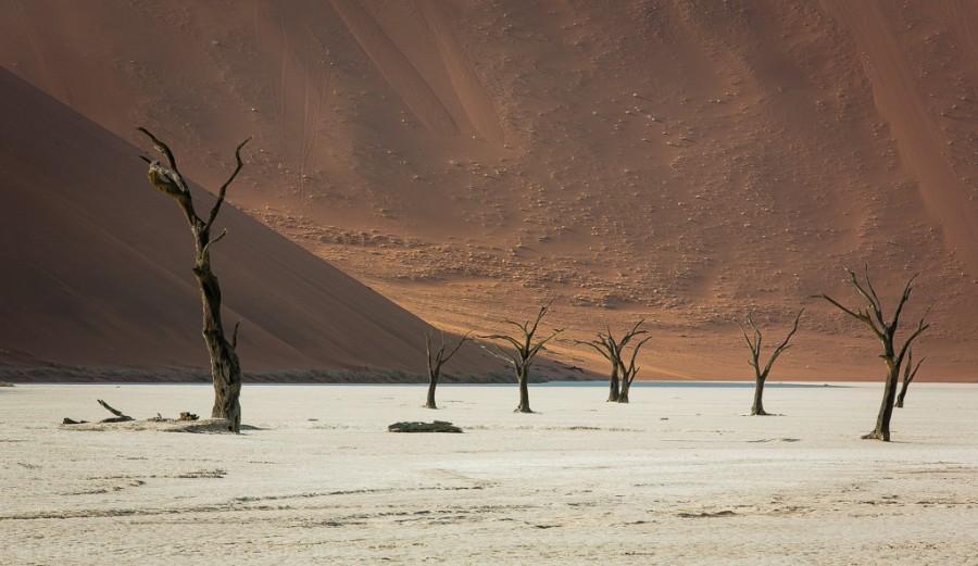 Фотография: Африка. Намибия. Пустыня Намиб - Соссусфлей №11 - BigPicture.ru