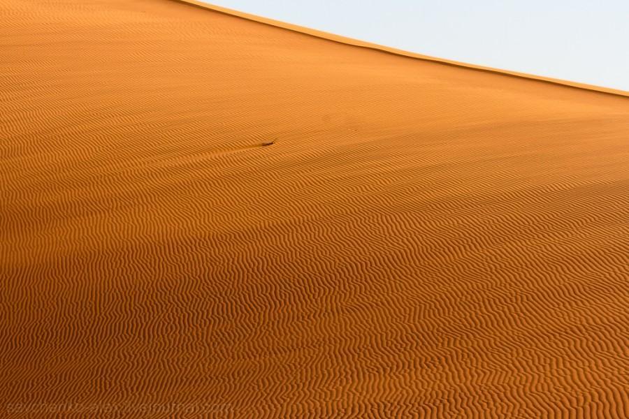 Фотография: Африка. Намибия. Пустыня Намиб - Соссусфлей №16 - BigPicture.ru