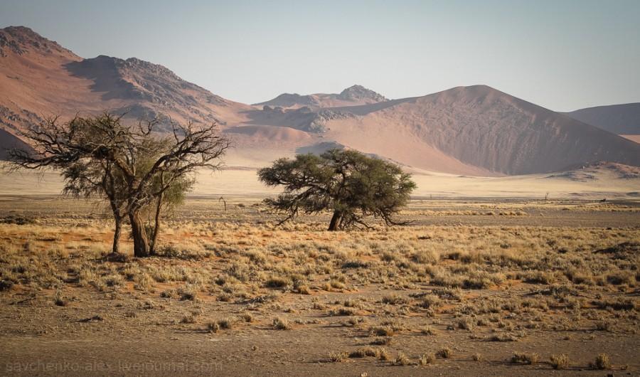 Фотография: Африка. Намибия. Пустыня Намиб - Соссусфлей №17 - BigPicture.ru