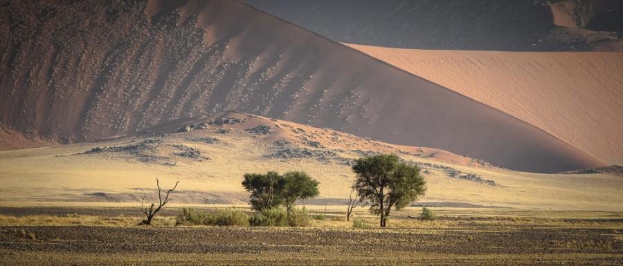 Фотография: Африка. Намибия. Пустыня Намиб - Соссусфлей №18 - BigPicture.ru