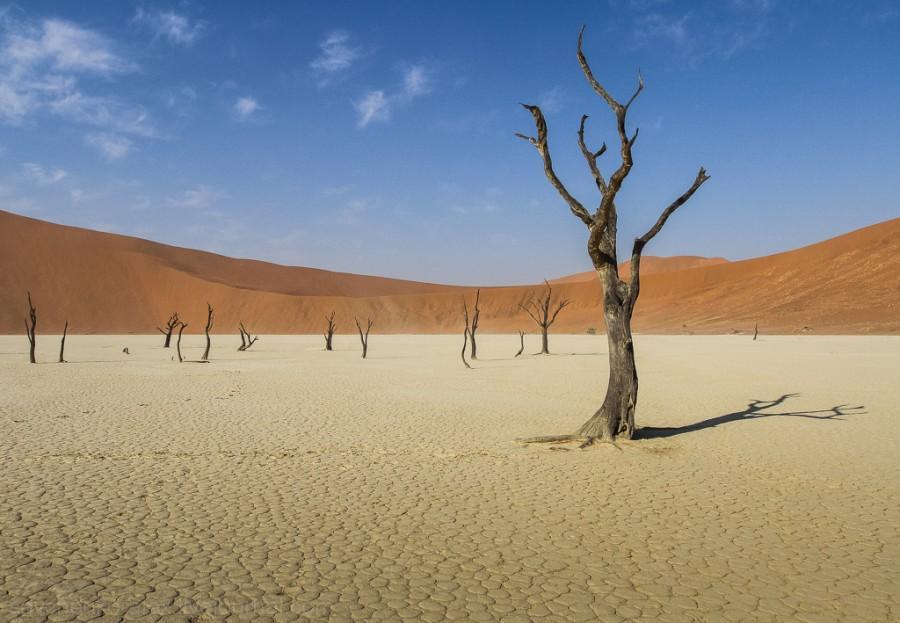 Фотография: Африка. Намибия. Пустыня Намиб - Соссусфлей №20 - BigPicture.ru