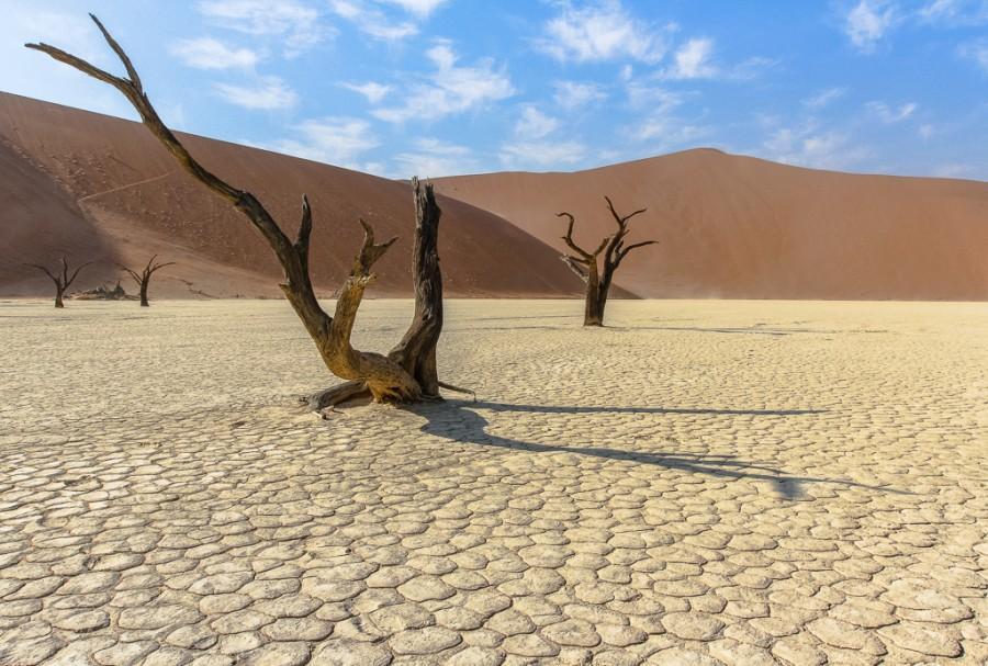 Фотография: Африка. Намибия. Пустыня Намиб - Соссусфлей №21 - BigPicture.ru