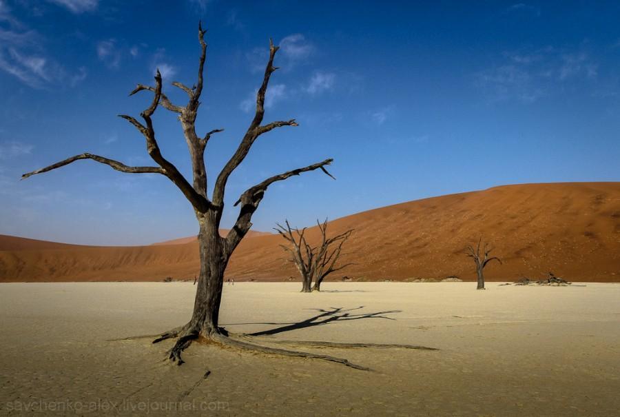 Фотография: Африка. Намибия. Пустыня Намиб - Соссусфлей №22 - BigPicture.ru