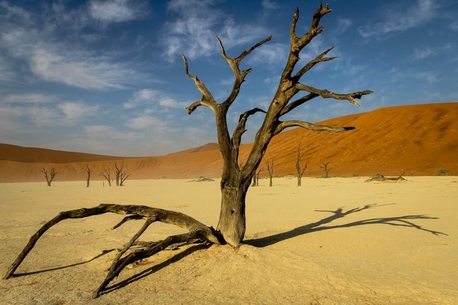 Фотография: Африка. Намибия. Пустыня Намиб - Соссусфлей №24 - BigPicture.ru