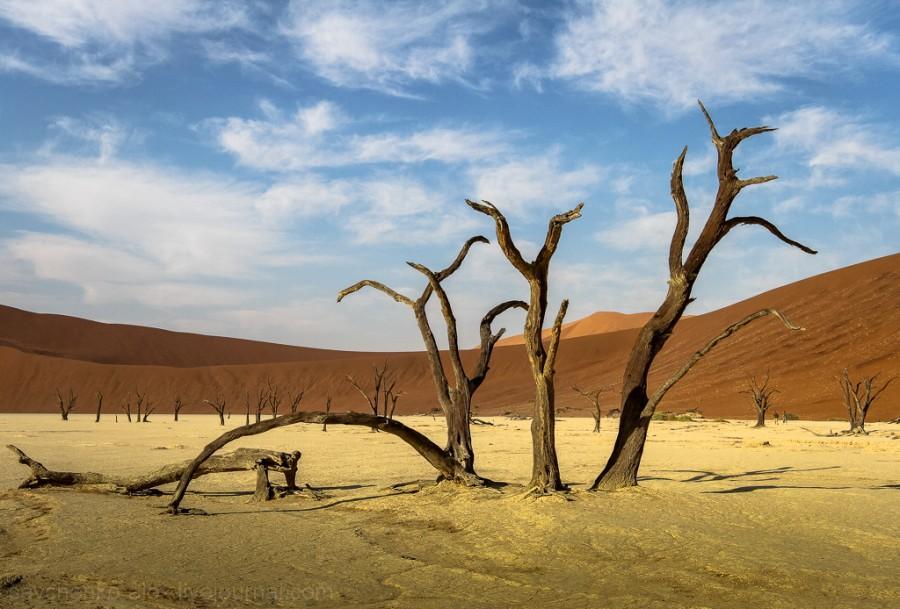 Фотография: Африка. Намибия. Пустыня Намиб - Соссусфлей №25 - BigPicture.ru