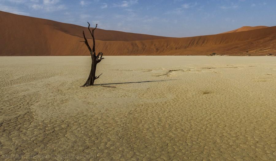 Фотография: Африка. Намибия. Пустыня Намиб - Соссусфлей №26 - BigPicture.ru