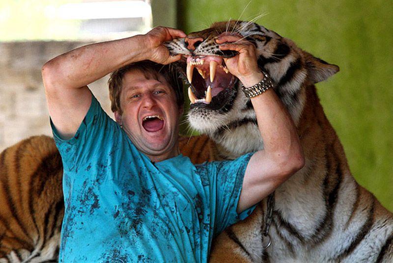 Фотография: Тигр вместо домашнего питомца: в бразильской семье живут 7 хищников №2 - BigPicture.ru