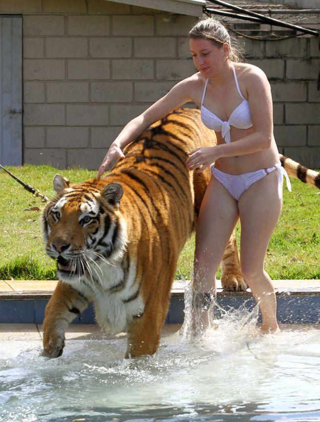 Фотография: Тигр вместо домашнего питомца: в бразильской семье живут 7 хищников №6 - BigPicture.ru