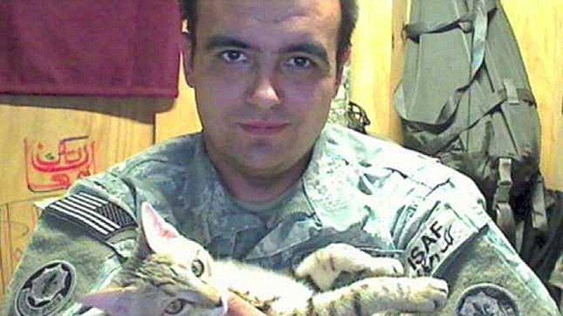 Фотография: Американский солдат привез из Афганистана кота №4 - BigPicture.ru