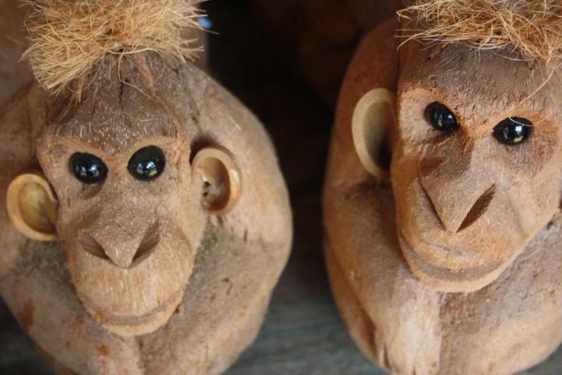 Фотография: 10 удивительных фактов о кокосах №6 - BigPicture.ru