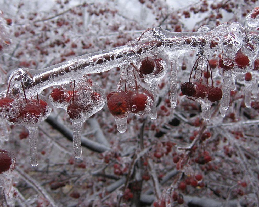 Фотография: Самые красивые фотографии морозной зимы №2 - BigPicture.ru