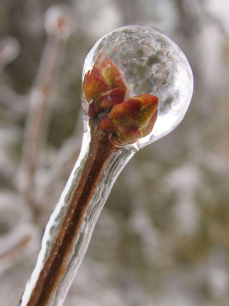Фотография: Самые красивые фотографии морозной зимы №3 - BigPicture.ru