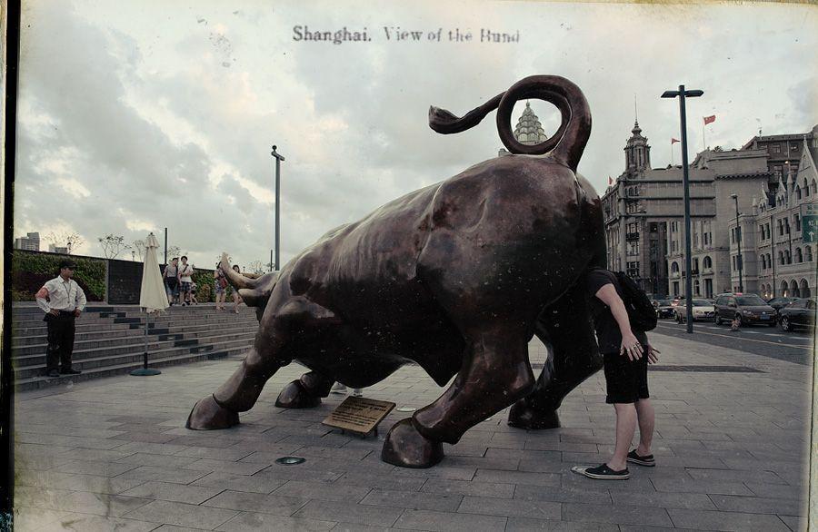Фотография: Шанхайский бык. День самый первый №6 - BigPicture.ru