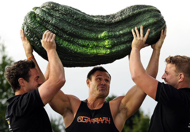 Фотография: 7 гигантских овощей-рекордсменов №6 - BigPicture.ru
