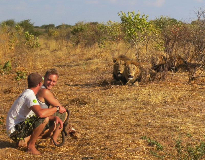 Фотография: Как я жил со львами в Ботсване №4 - BigPicture.ru