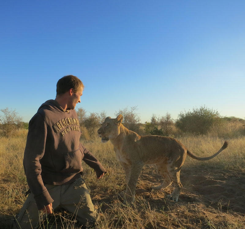 Фотография: Как я жил со львами в Ботсване №9 - BigPicture.ru