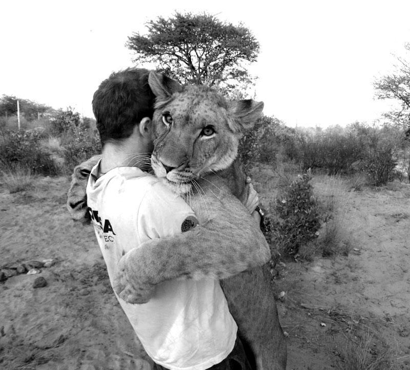 Фотография: Как я жил со львами в Ботсване №12 - BigPicture.ru