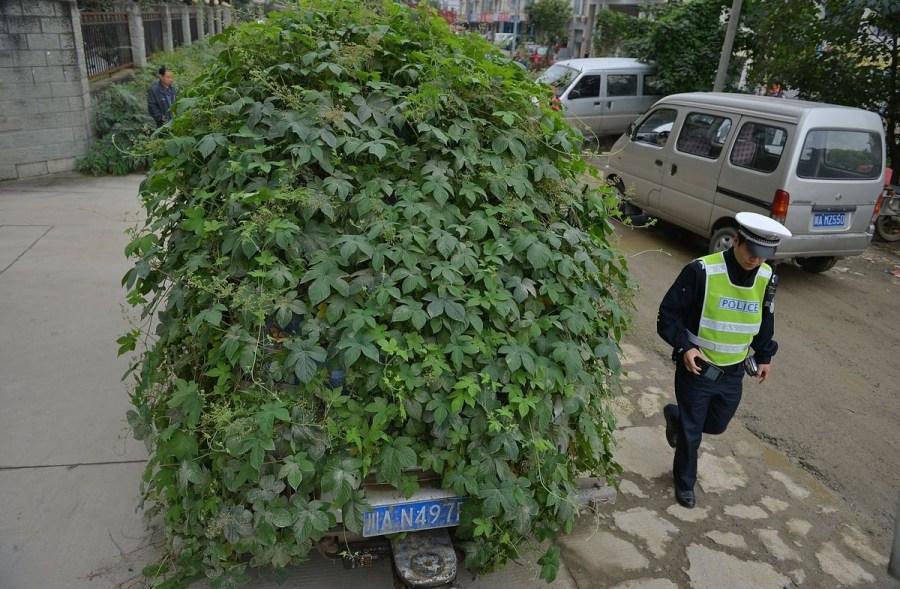 Фотография: Зловещее зомби-авто из Китая №5 - BigPicture.ru