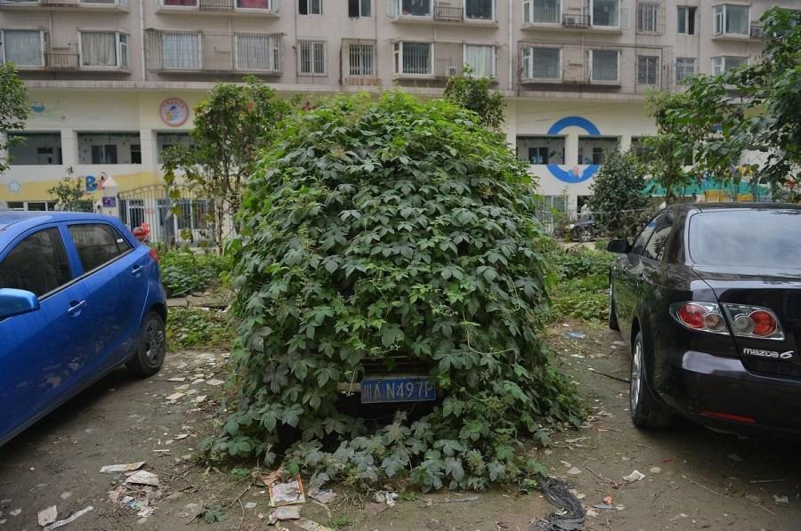 Фотография: Зловещее зомби-авто из Китая №6 - BigPicture.ru