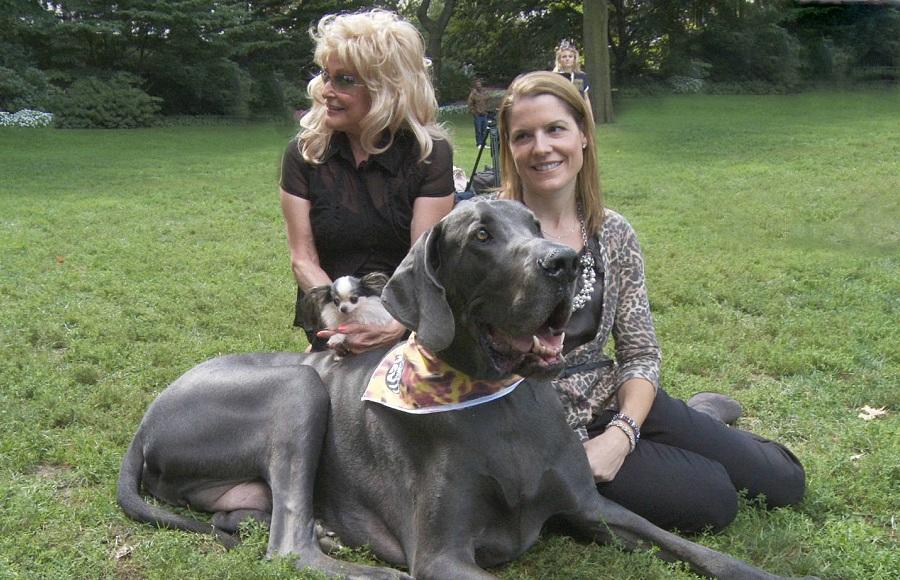 Фотография: В США умерла самая большая собака в мире №10 - BigPicture.ru