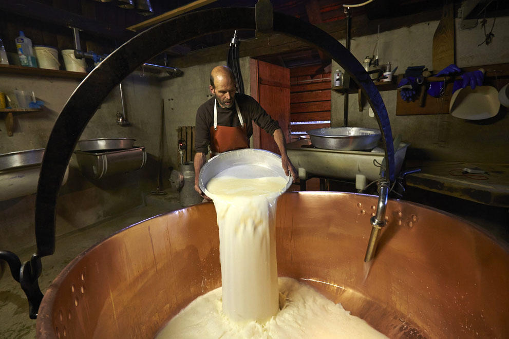 Фотография: Как делают швейцарский сыр №10 - BigPicture.ru