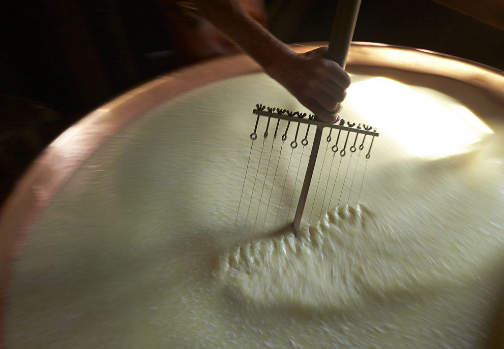 Фотография: Как делают швейцарский сыр №11 - BigPicture.ru