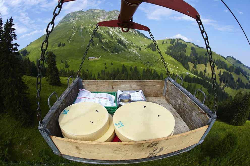 Фотография: Как делают швейцарский сыр №18 - BigPicture.ru