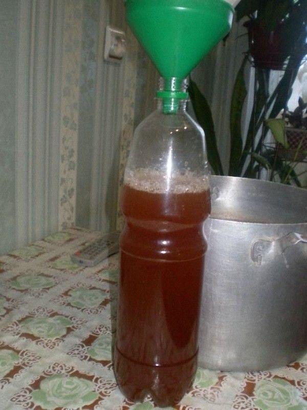 Фотография: Как приготовить медовуху в домашних условиях №9 - BigPicture.ru
