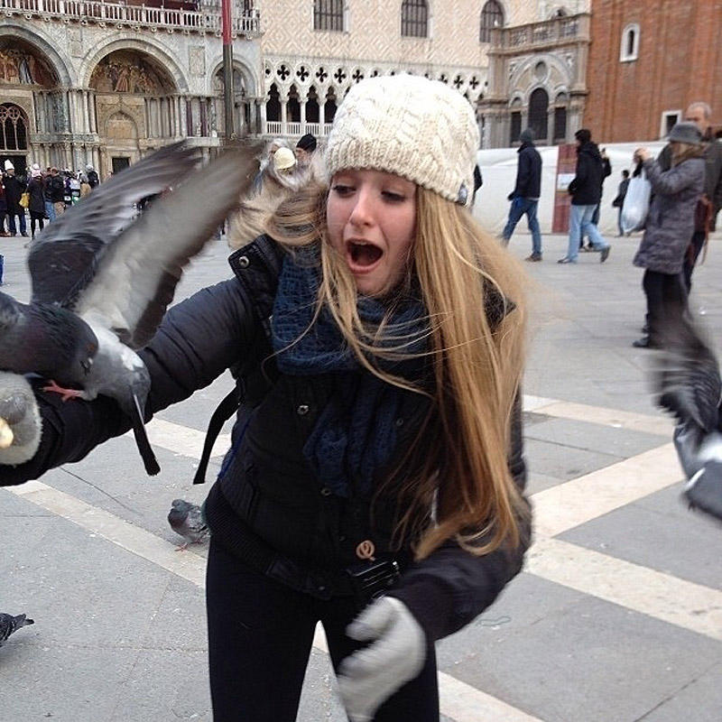 Фотография: Не кормите голубей, или пожалеете! №8 - BigPicture.ru