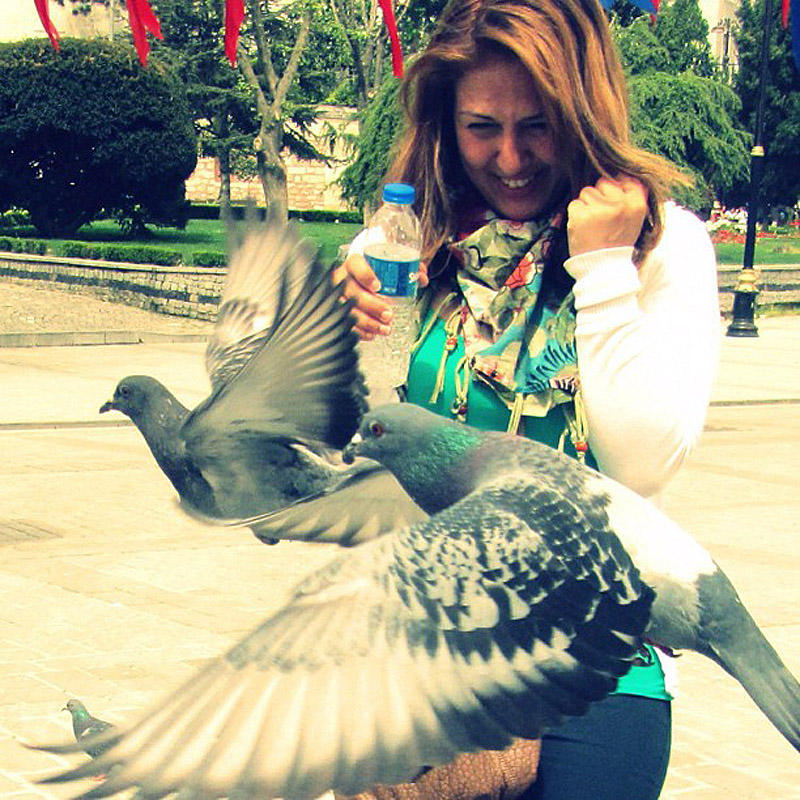 Фотография: Не кормите голубей, или пожалеете! №21 - BigPicture.ru